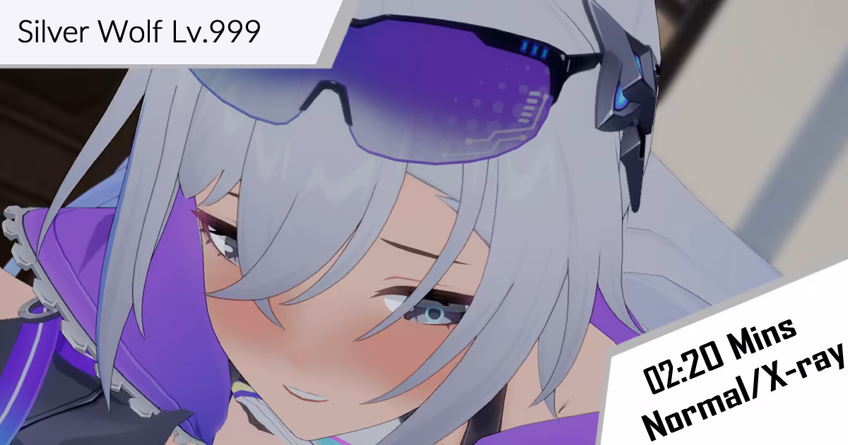 Silver Wolf Lv.999 Aung15
